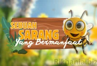 Cerita Animasi Anak Sebuah Sarang yang Bermanfaat
